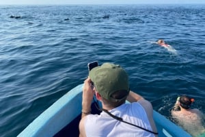 Puerto Escondido: Boat Tour to Swim with Dolphins & Turtles