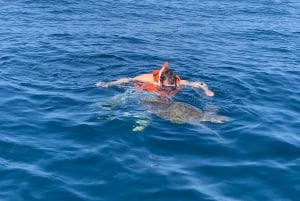 Puerto Escondido: Boat Tour to Swim with Dolphins & Turtles