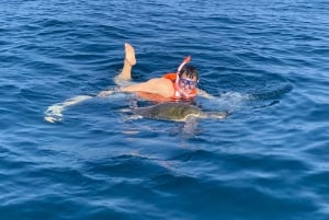 Puerto Escondido: Boat Tour to Swim with Dolphins & Turtles