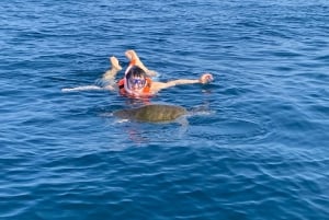 Puerto Escondido: Boat Tour to Swim with Dolphins & Turtles