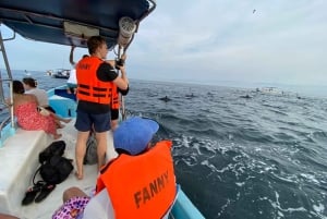 Puerto Escondido: Boat Tour to Swim with Dolphins & Turtles