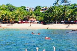 Puerto escondido : Observa las ballenas y nada con delfines