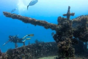 Puerto Morelos: C-56 Shipwreck & Reef for Certified Divers