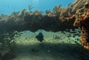 Puerto Morelos: C-56 Shipwreck & Reef for Certified Divers