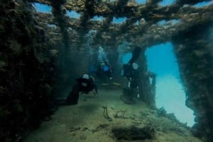 Puerto Morelos: C-56 Shipwreck & Reef for Certified Divers