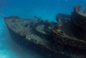 Puerto Morelos: C-56 Shipwreck & Reef for Certified Divers