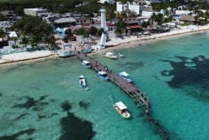 Puerto Morelos: C-56 Shipwreck & Reef for Certified Divers