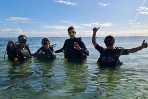 Puerto Morelos: Efectos de Luz en el Cenote Tajma Ha