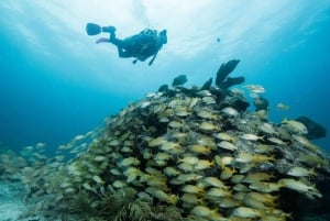 Puerto Morelos: Efectos de Luz en el Cenote Tajma Ha