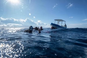 Puerto Morelos: Certificación de buceo