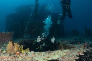 Puerto Morelos: Diving at the C56 Shipwreck