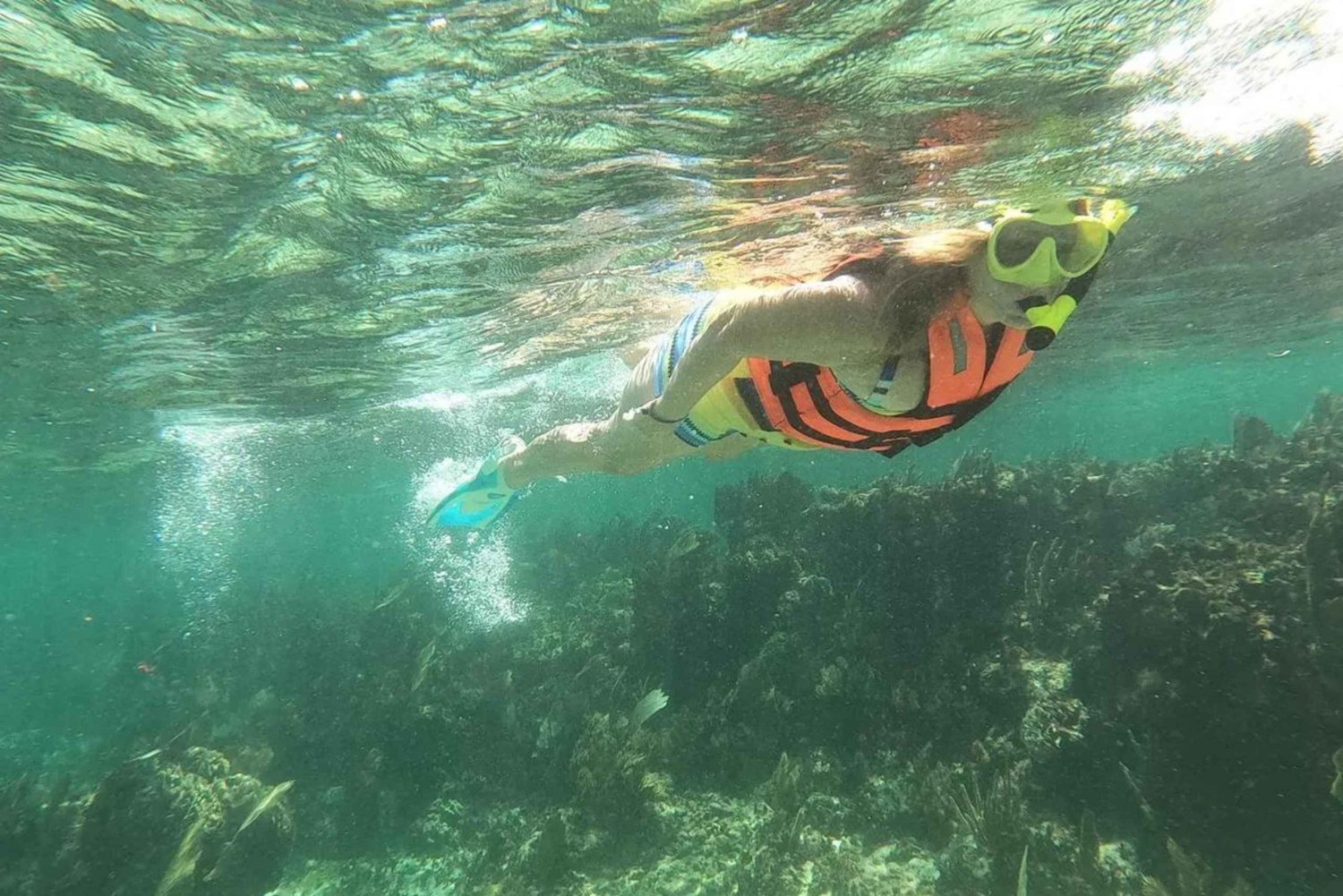 Puerto Morelos: Guided Snorkeling Tour with Gear & Fees