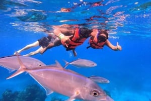 Puerto Morelos: Guided Snorkeling Tour with Gear & Fees