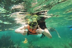 Puerto Morelos: Guided Snorkeling Tour with Gear & Fees