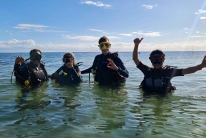 Puerto Morelos: Buceo en el Cenote Kin Ha