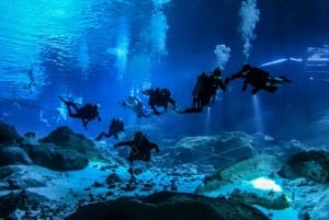 Puerto Morelos: Buceo en el Cenote Kin Ha