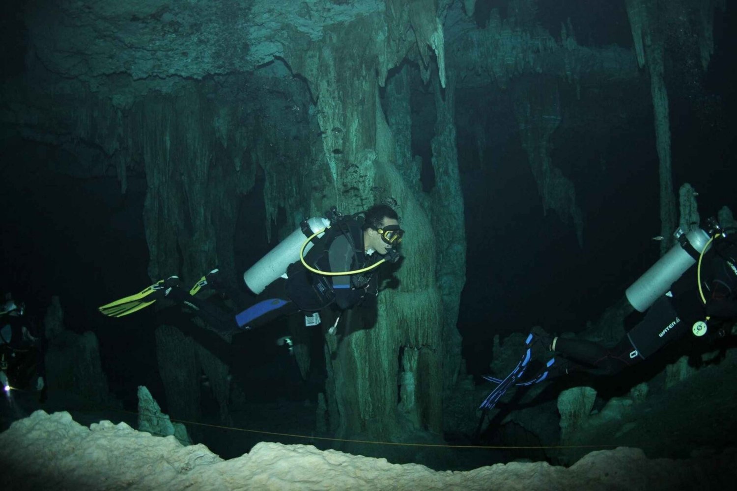 Puerto Morelos: Buceo nocturno