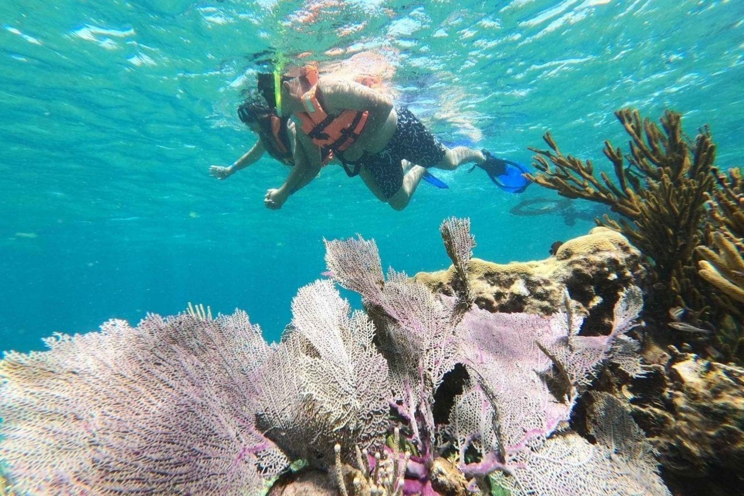 Puerto Morelos: Reef Snorkeling Adventure with transport
