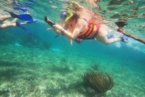 Puerto Morelos: Aventura de snorkel en el arrecife con transporte