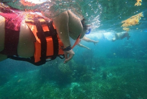 Puerto Morelos: Aventura de snorkel en el arrecife con transporte