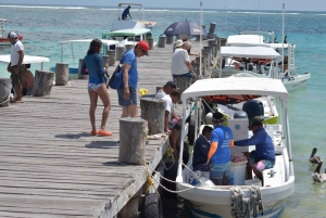 Puerto Morelos: Aventura de snorkel en el arrecife con transporte