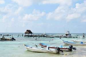 Puerto Morelos: Excursión de snorkel en el arrecife, refrigerio y transporte