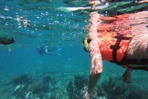 Puerto Morelos: Excursión de snorkel en el arrecife, refrigerio y transporte