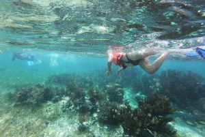 Puerto Morelos: Excursión de snorkel en el arrecife, refrigerio y transporte