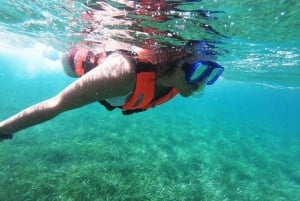 Puerto Morelos: Excursión de snorkel en el arrecife, refrigerio y transporte