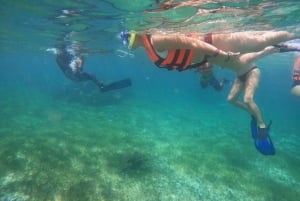 Puerto Morelos: Excursión de snorkel en el arrecife, refrigerio y transporte