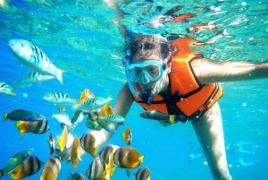 Puerto Morelos: Excursión de snorkel en el arrecife con comida junto a la playa