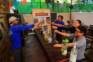 Puerto Morelos: Excursión de snorkel en el arrecife con comida junto a la playa