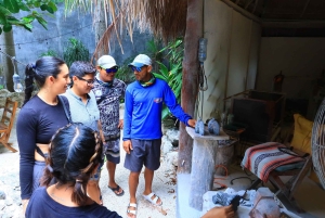 Puerto Morelos: Excursión de snorkel en el arrecife con comida junto a la playa