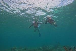 Puerto Morelos: Snorkel and boat ride at Puerto Morelos Reef