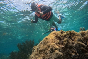 Puerto Morelos: Snorkel and boat ride at Puerto Morelos Reef