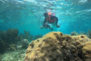 Puerto Morelos: Snorkel and boat ride at Puerto Morelos Reef