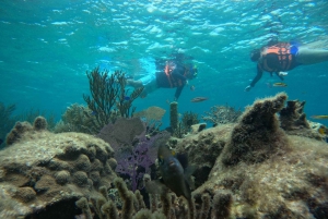 Puerto Morelos: Snorkel and boat ride at Puerto Morelos Reef