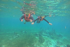 Puerto Morelos: Snorkel and boat ride at Puerto Morelos Reef