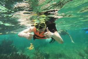 Puerto Morelos: Snorkel and boat ride at Puerto Morelos Reef