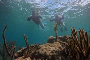 Puerto Morelos: Snorkel and boat ride at Puerto Morelos Reef