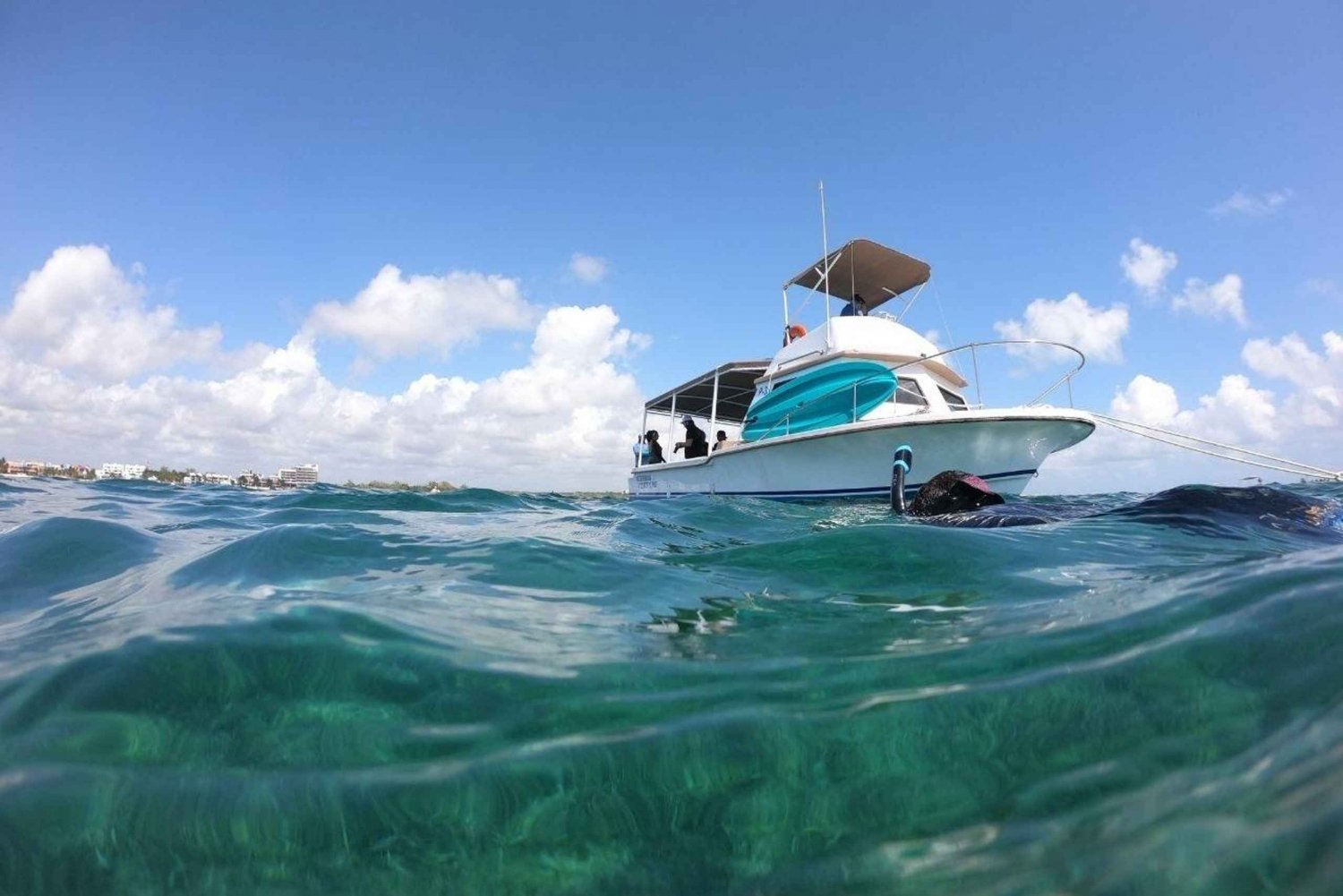 Puerto Morelos: Bucea en el arrecife de coral y visita la ciudad