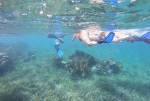 Puerto Morelos: Bucea en el arrecife de coral y visita la ciudad