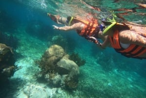 Puerto Morelos: Snorkeling experience with snack & transport