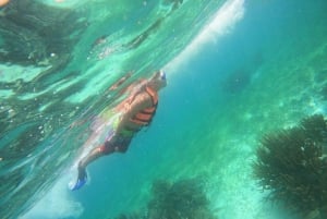 Puerto Morelos: Snorkeling experience with snack & transport