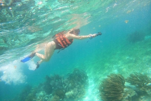 Puerto Morelos: Snorkeling experience with snack & transport