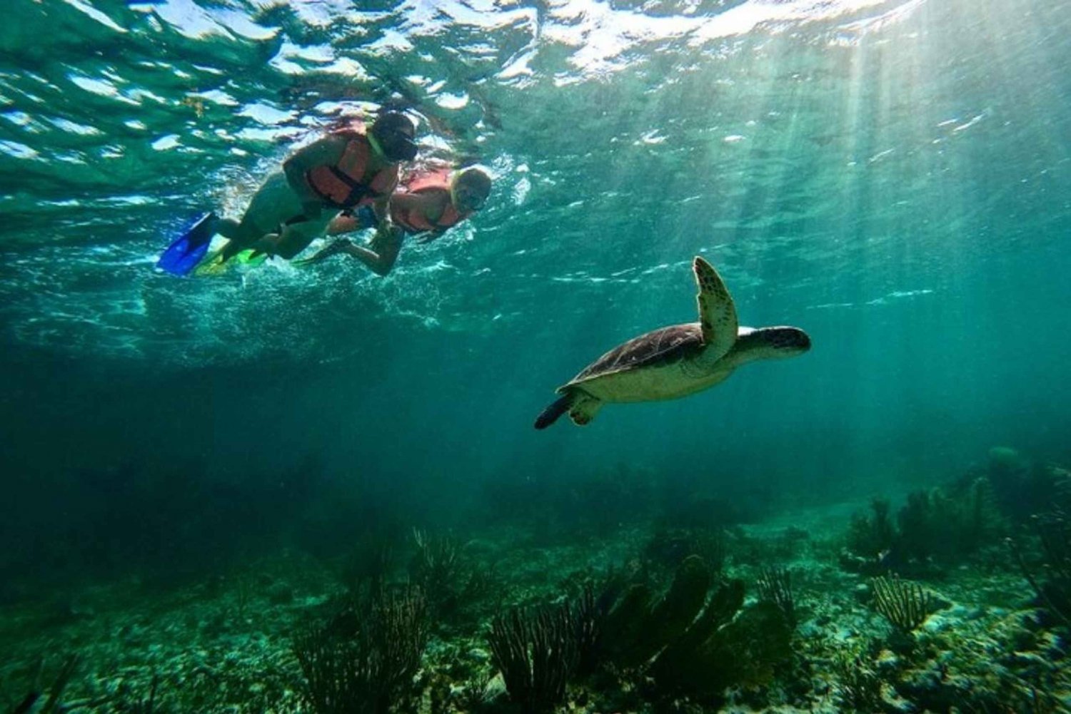 Puerto Morelos: Actividad guiada de snorkel