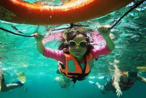 Puerto Morelos: Actividad guiada de snorkel