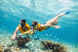 Puerto Morelos: Snorkeling Tour with Turtles and Stingrays