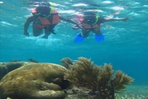 Puerto Morelos: Excursión de snorkel