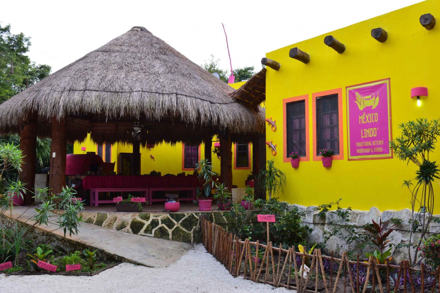 Puerto Morelos: Tasty Mexican Cooking Class & Feast in Riv